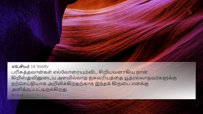 எபேசியர் 3:8 TAMIRV Bible Verse Image