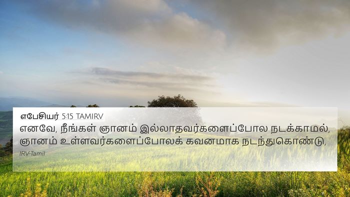எபேசியர் 5:15 TAMIRV Bible Verse Image