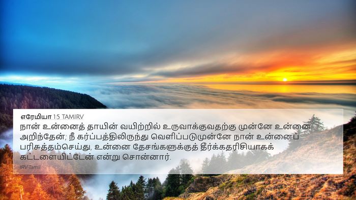 எரேமியா 1:5 TAMIRV Bible Verse Image