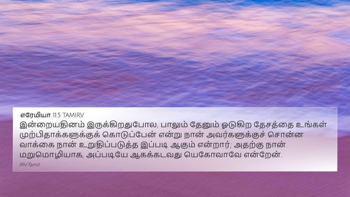 எரேமியா 11:5 TAMIRV 4K Wallpaper - இன்றையதினம் - 4K Wallpaper Bible Verse