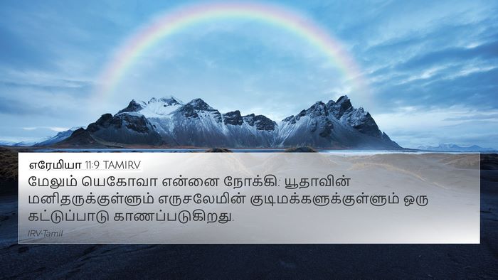 எரேமியா 11:9 TAMIRV Bible Verse Image
