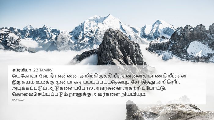 எரேமியா 12:3 TAMIRV Bible Verse Image