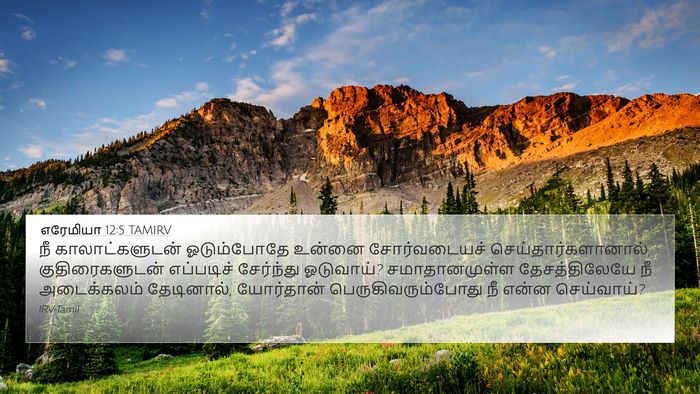 எரேமியா 12:5 TAMIRV Bible Verse Image