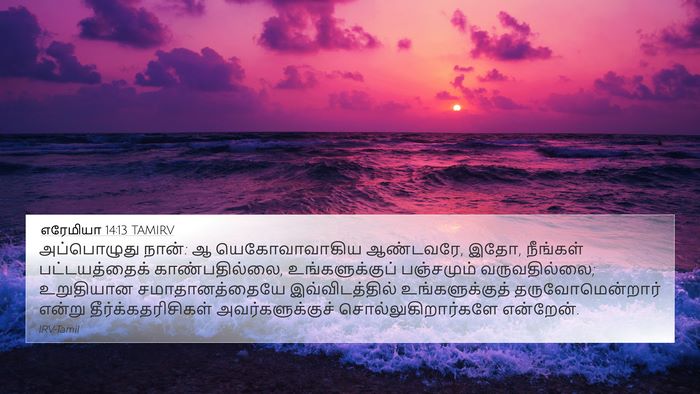 எரேமியா 14:13 TAMIRV Bible Verse Image