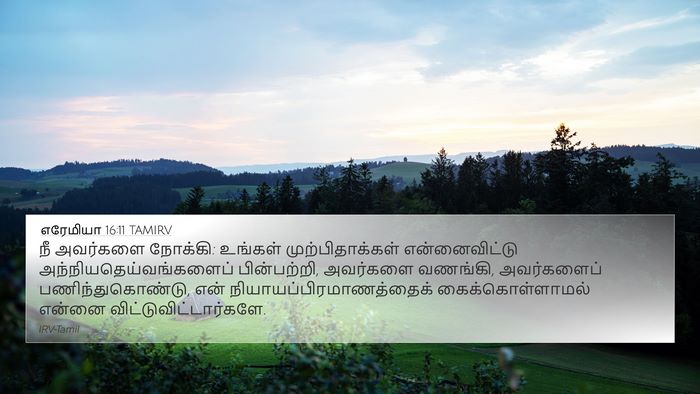 எரேமியா 16:11 TAMIRV 4K Wallpaper - நீ அவர்களை நோக்கி: - 4K Wallpaper Bible Verse
