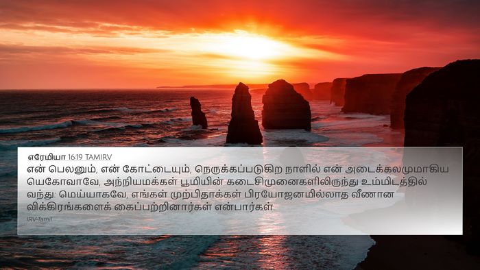 எரேமியா 16:19 TAMIRV Bible Verse Image