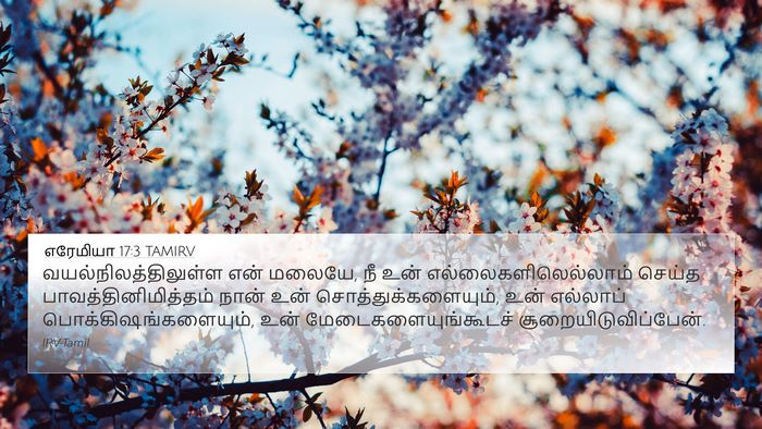 எரேமியா 17:3 TAMIRV Bible Verse Image