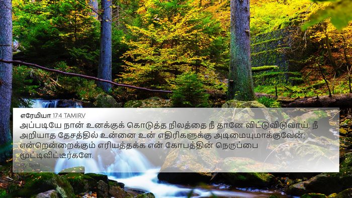 எரேமியா 17:4 TAMIRV Bible Verse Image