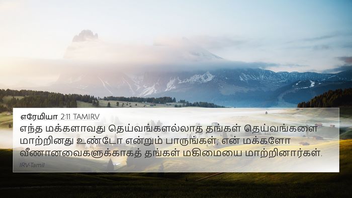 எரேமியா 2:11 TAMIRV Bible Verse Image