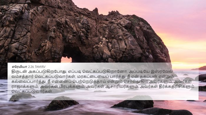 எரேமியா 2:26 TAMIRV Bible Verse Image