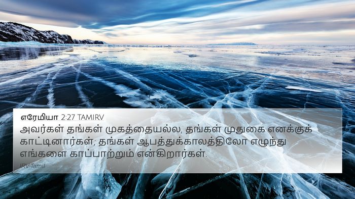எரேமியா 2:27 TAMIRV Bible Verse Image