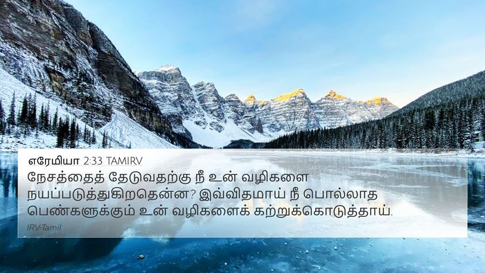 எரேமியா 2:33 TAMIRV Bible Verse Image