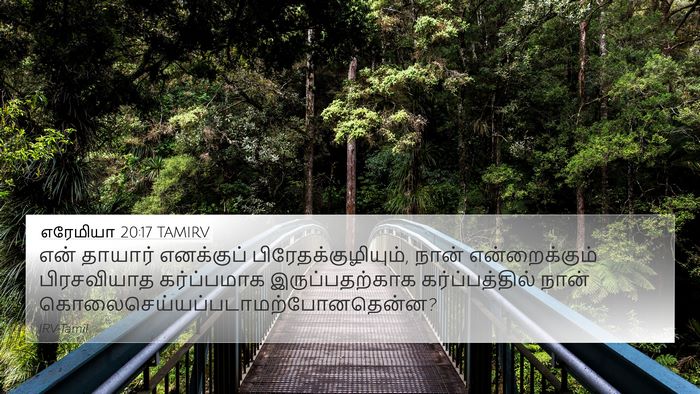 எரேமியா 20:17 TAMIRV Bible Verse Image