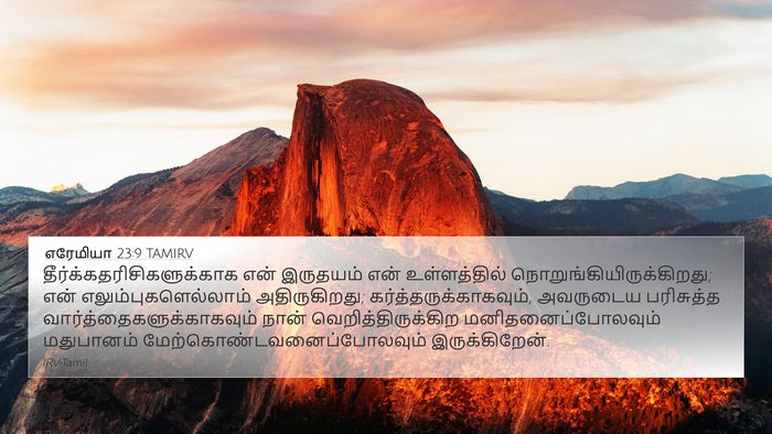 எரேமியா 23:9 TAMIRV Bible Verse Image