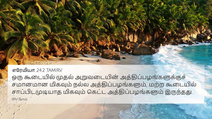 எரேமியா 24:2 TAMIRV Bible Verse Image