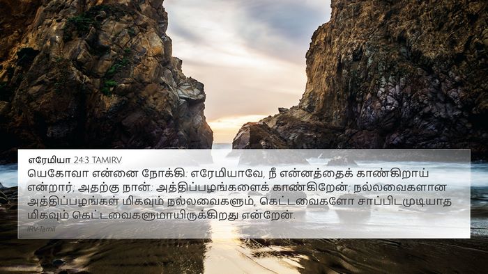 எரேமியா 24:3 TAMIRV Bible Verse Image