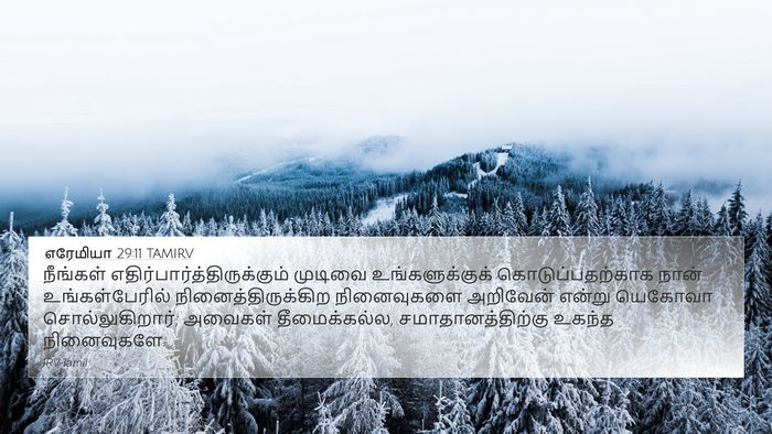 எரேமியா 29:11 TAMIRV Bible Verse Image