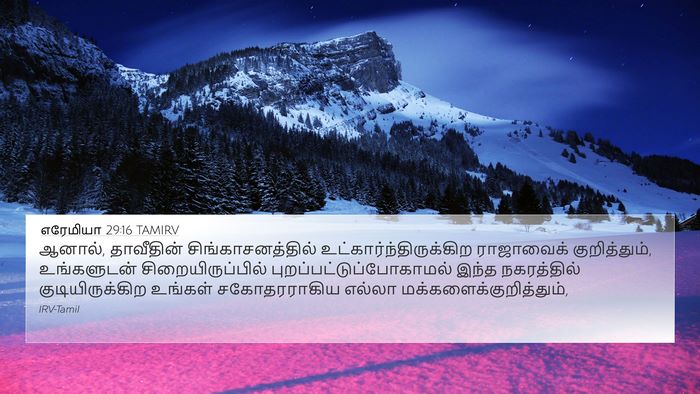 எரேமியா 29:16 TAMIRV Bible Verse Image
