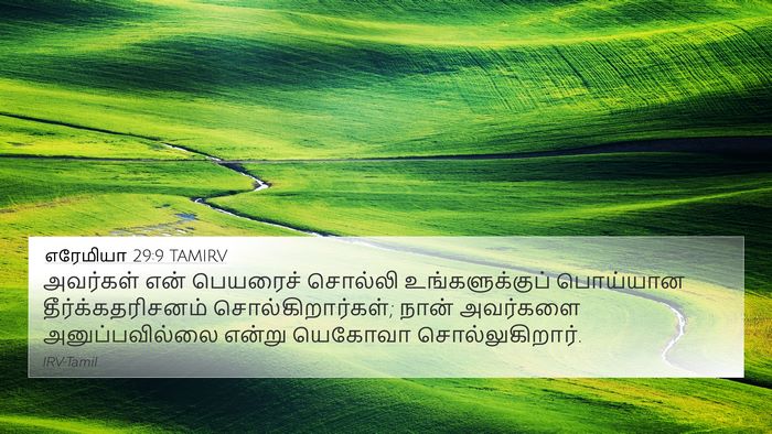எரேமியா 29:9 TAMIRV Bible Verse Image