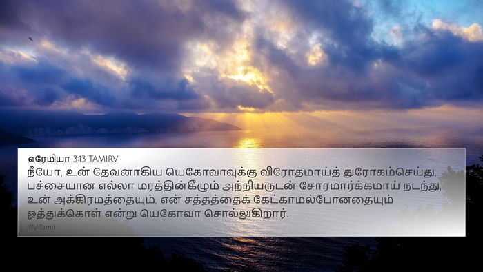 எரேமியா 3:13 TAMIRV Bible Verse Image