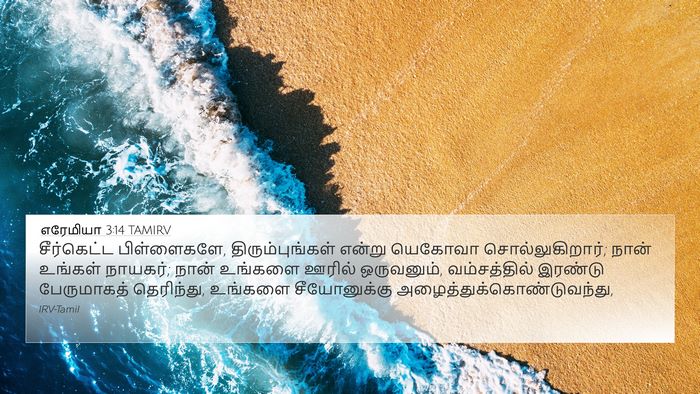 எரேமியா 3:14 TAMIRV Bible Verse Image
