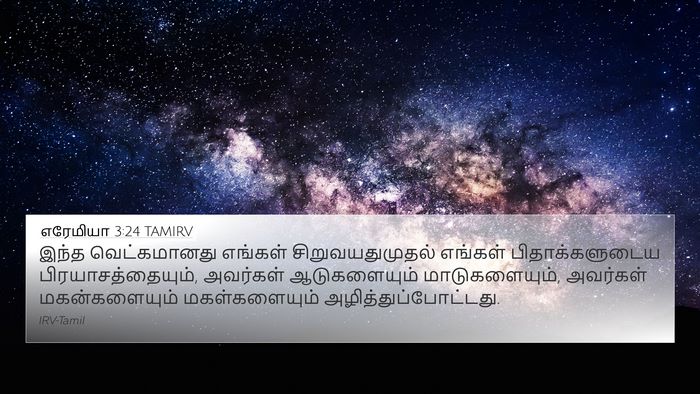 எரேமியா 3:24 TAMIRV Bible Verse Image