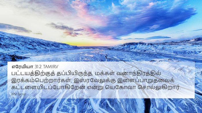 எரேமியா 31:2 TAMIRV Bible Verse Image