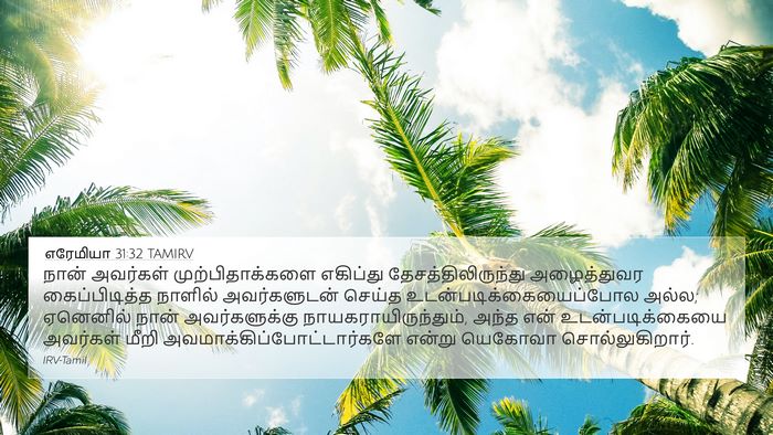 எரேமியா 31:32 TAMIRV Bible Verse Image