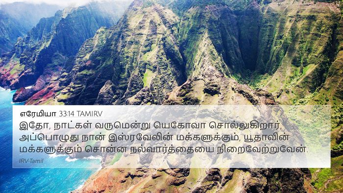 எரேமியா 33:14 TAMIRV Bible Verse Image