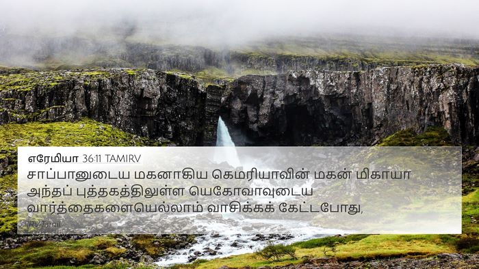 எரேமியா 36:11 TAMIRV Bible Verse Image