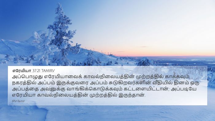 எரேமியா 37:21 TAMIRV Bible Verse Image
