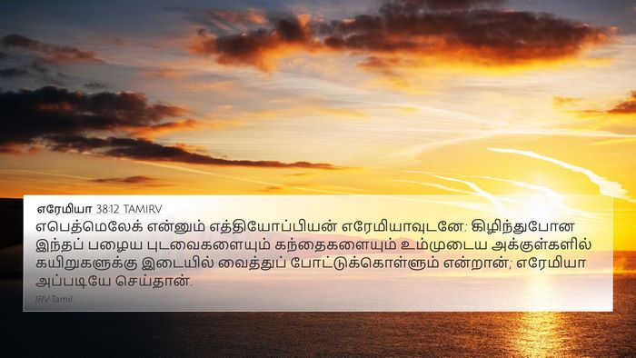 எரேமியா 38:12 TAMIRV 4K Wallpaper - எபெத்மெலேக் - 4K Wallpaper Bible Verse