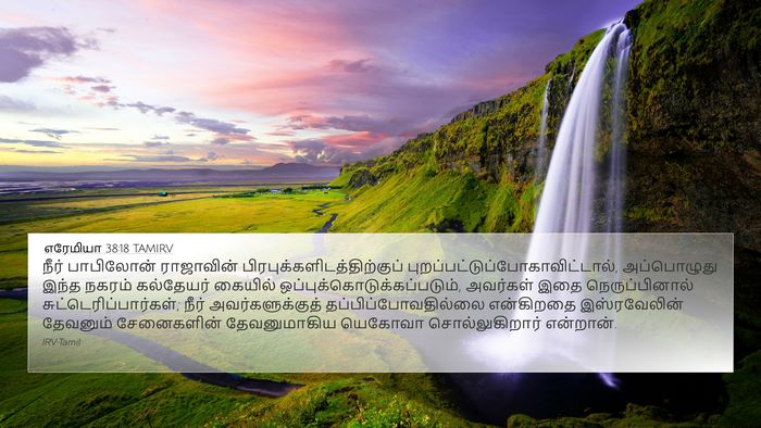 எரேமியா 38:18 TAMIRV Bible Verse Image
