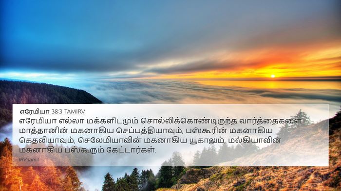 எரேமியா 38:3 TAMIRV Bible Verse Image
