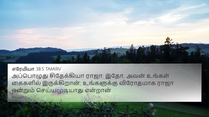எரேமியா 38:5 TAMIRV Bible Verse Image