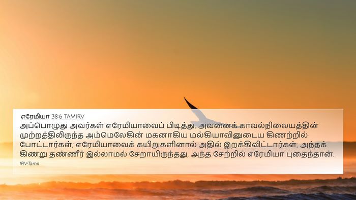 எரேமியா 38:6 TAMIRV Bible Verse Image