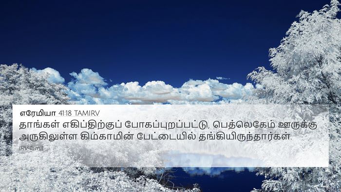 எரேமியா 41:18 TAMIRV Bible Verse Image