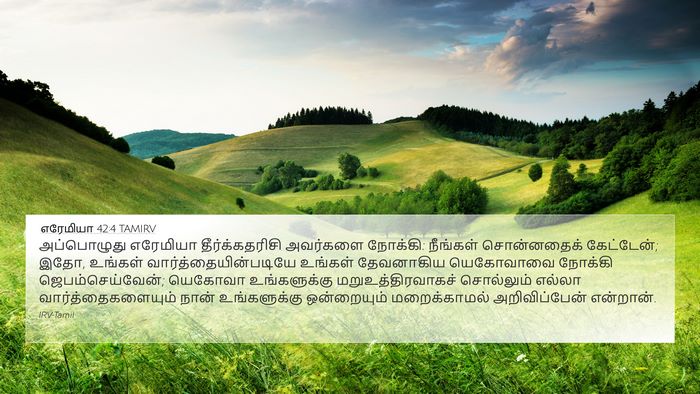 எரேமியா 42:4 TAMIRV Bible Verse Image