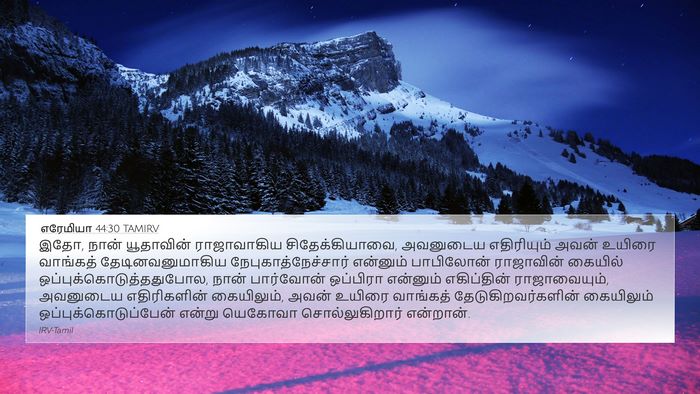எரேமியா 44:30 TAMIRV Bible Verse Image