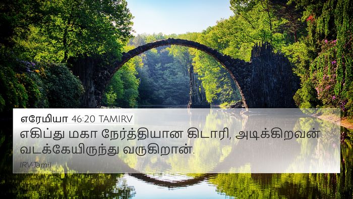 எரேமியா 46:20 TAMIRV Bible Verse Image