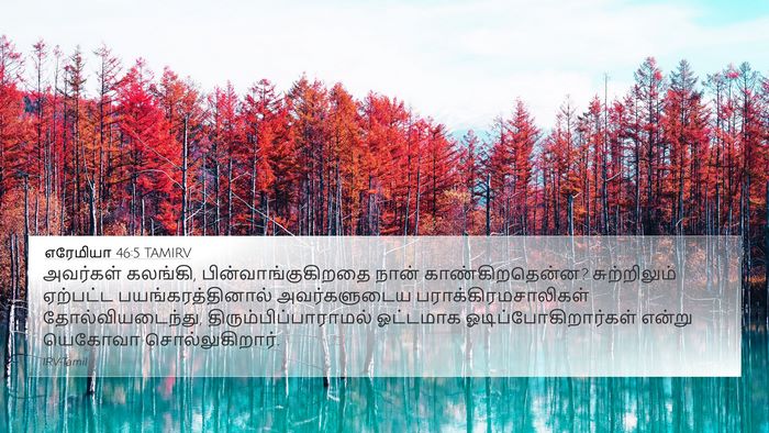 எரேமியா 46:5 TAMIRV Bible Verse Image
