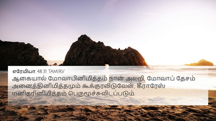 எரேமியா 48:31 TAMIRV Bible Verse Image