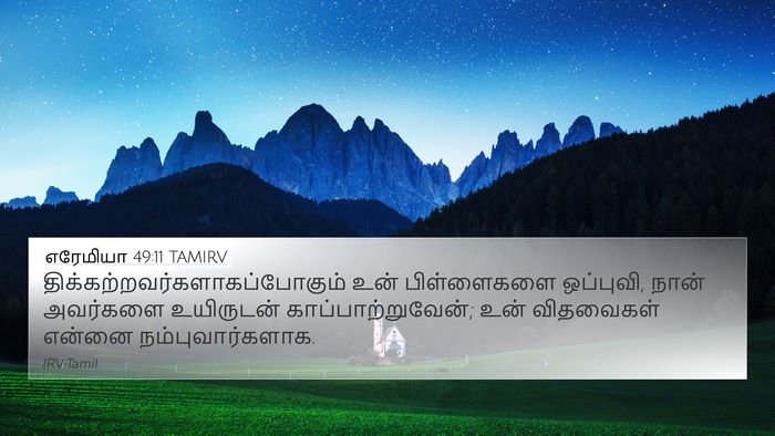 எரேமியா 49:11 TAMIRV Bible Verse Image