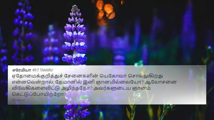 எரேமியா 49:7 TAMIRV Bible Verse Image