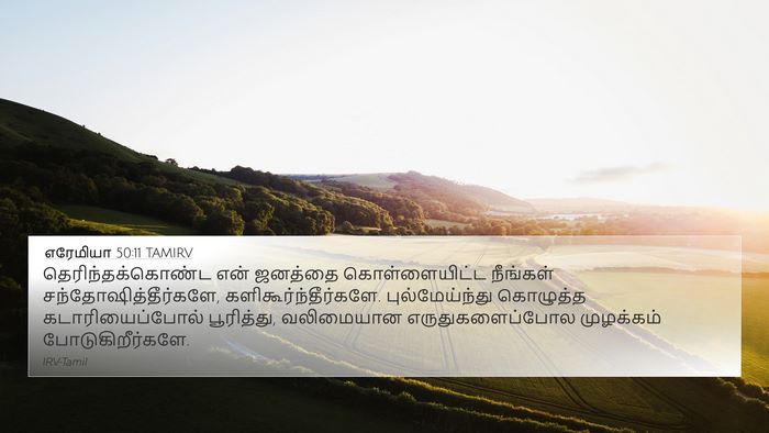 எரேமியா 50:11 TAMIRV Bible Verse Image
