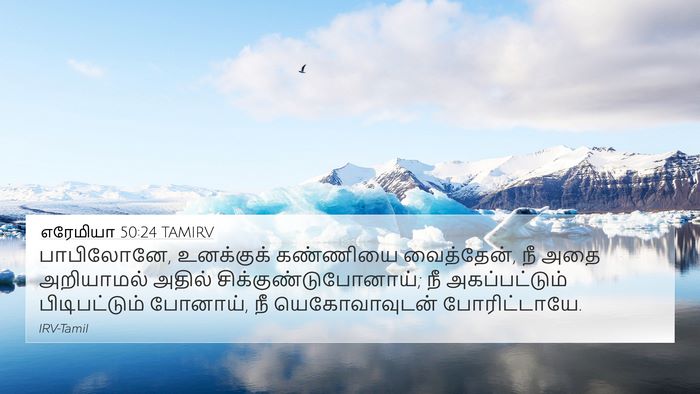 எரேமியா 50:24 TAMIRV Bible Verse Image