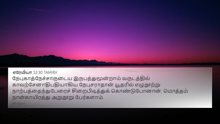 எரேமியா 52:30 TAMIRV Bible Verse Image