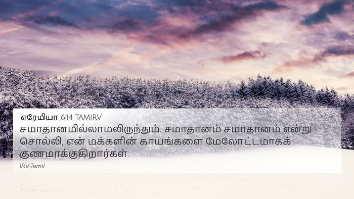 எரேமியா 6:14 TAMIRV Bible Verse Image