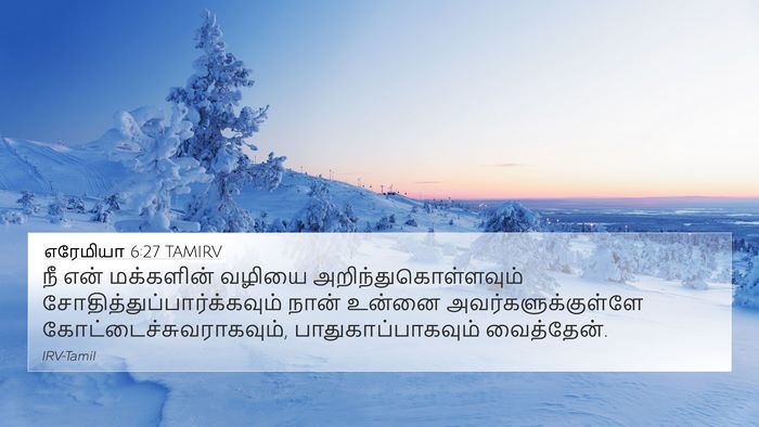 எரேமியா 6:27 TAMIRV Bible Verse Image