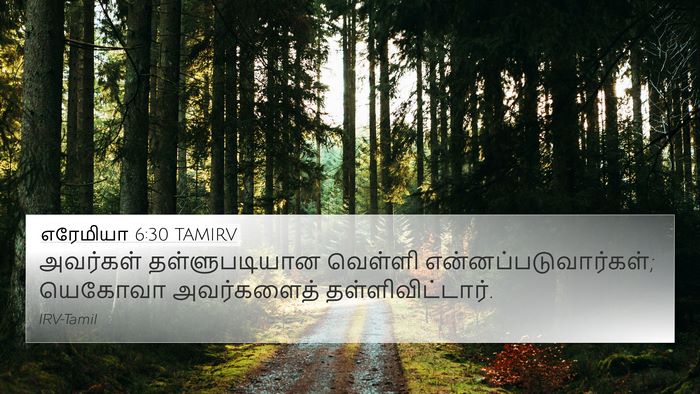 எரேமியா 6:30 TAMIRV Bible Verse Image